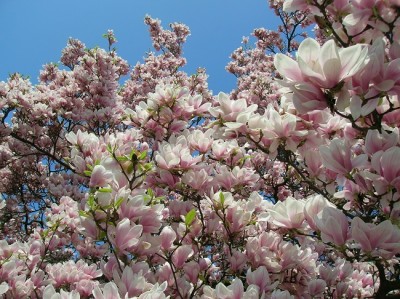 DSCN4230.JPG