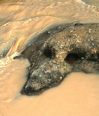 Krokodil.jpg