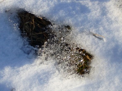 P1060496_640x480.JPG