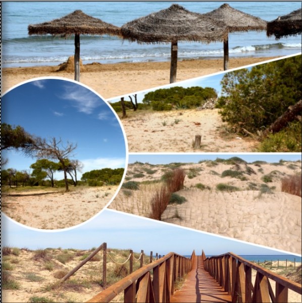 Layout1.jpg (195.13 KiB) 17163 mal betrachtet Layout1.jpg