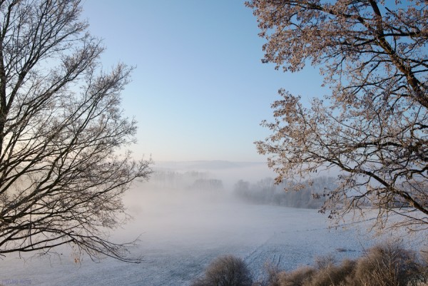 _STG6903_01.jpg
