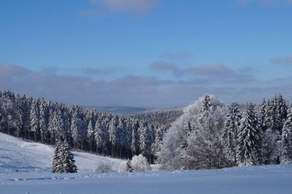 dezember-16-2.jpg