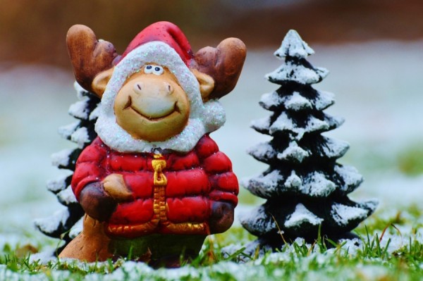 christmas-moose-1061524_960_720.jpg