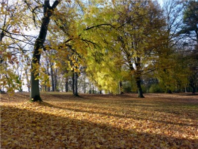 Herbst.jpg