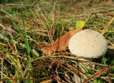 2012-10-06_234119.jpg