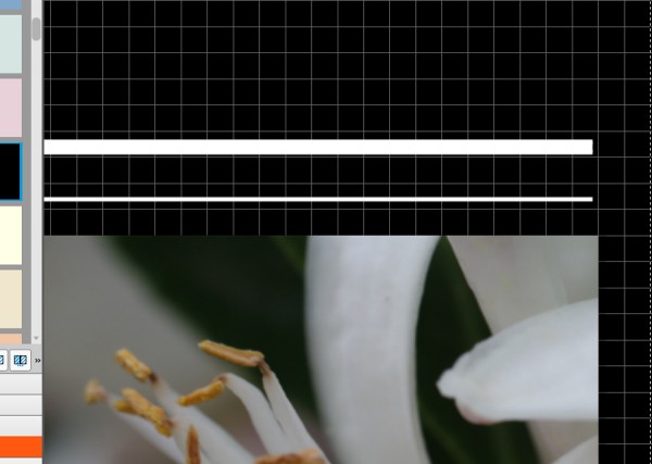 Clipart-Linien.jpg
