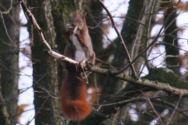 101107_3612_Dabewegtsichwas.JPG