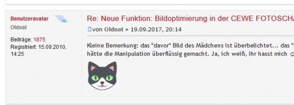 Katze.JPG