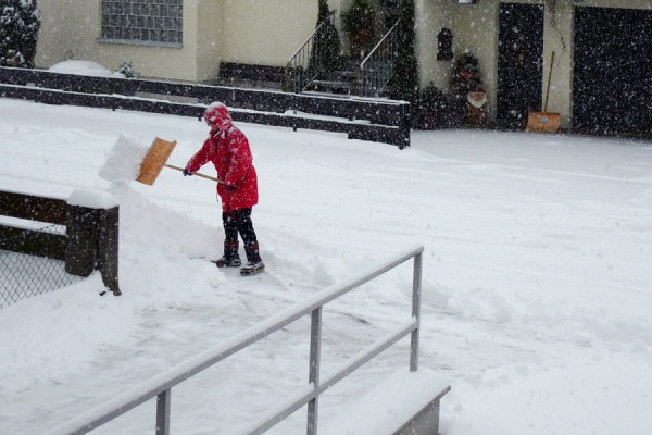 Schneeflöckchen.jpg (423.91 KiB) 29616 mal betrachtet Schneeflöckchen.jpg
