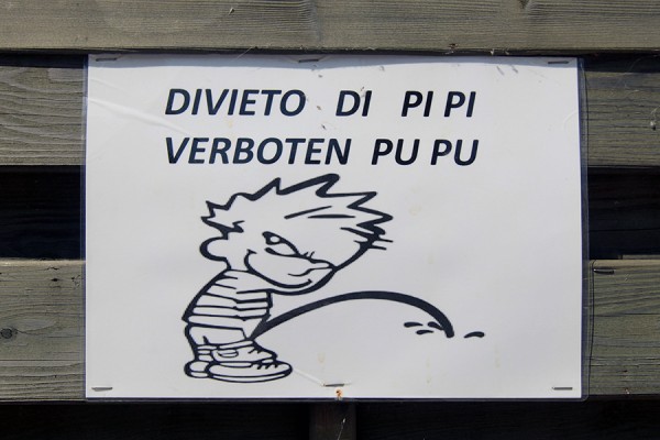PiPi_oder_PuPu.jpg