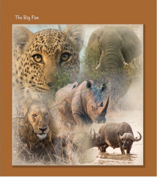 Big five.JPG