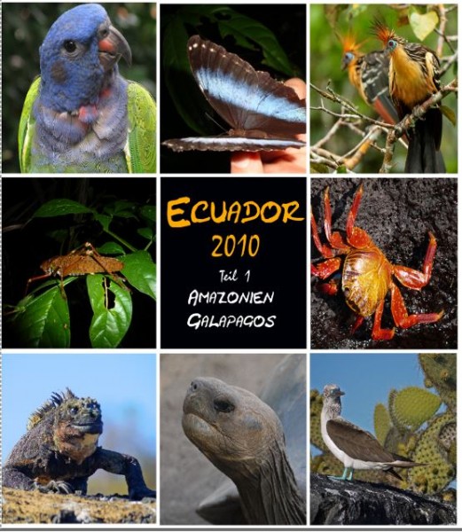 Ecuador.JPG