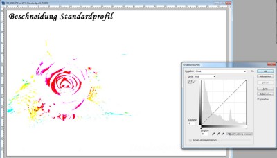Beschneidung_Standardprofil.jpg