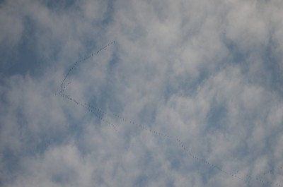 DSC_1546_kl.jpg