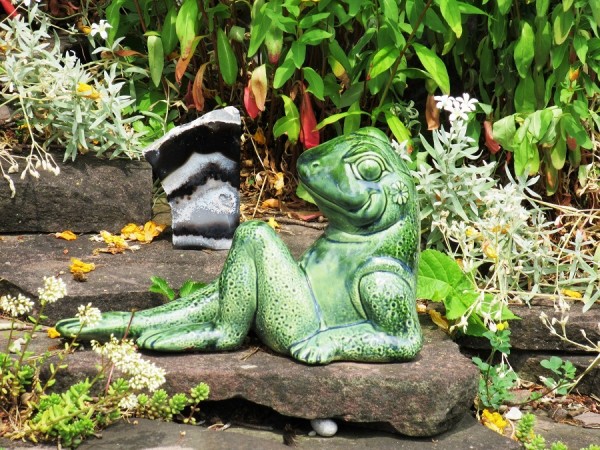 Frosch IMG_1675.JPG