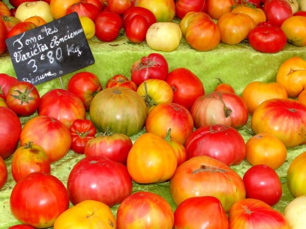 tomaten899.jpg
