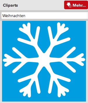 Schneeflocke.JPG