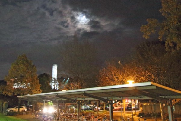 IMG_5827 (Custom).jpeg