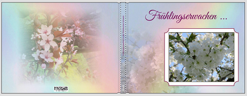 Früling Cover.PNG