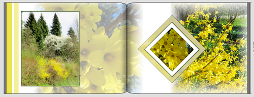 Frühling gelb.PNG