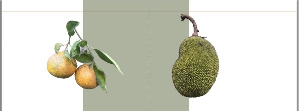 bali.jpg