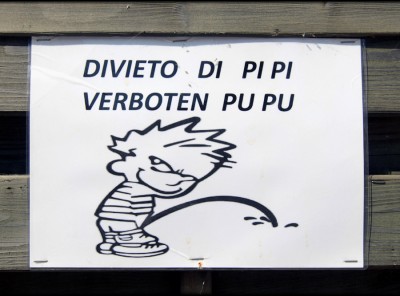 Pi_Pu.jpg
