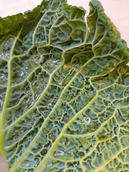20201229_204125.jpg