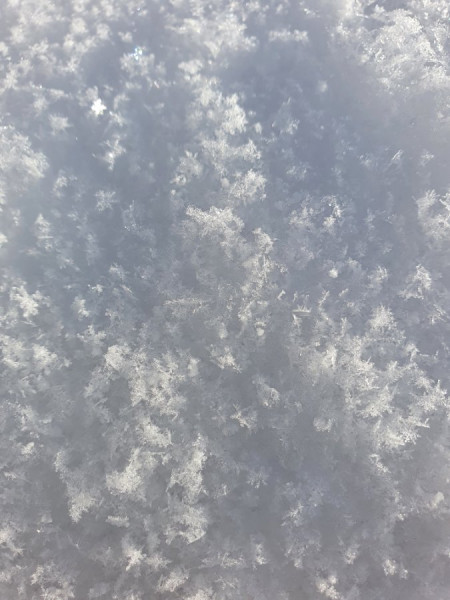 20201226_140942.jpg