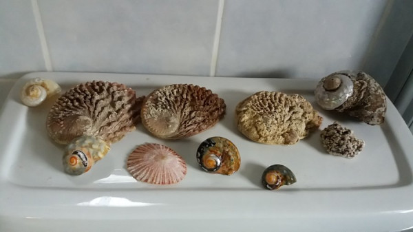20171114_172330.jpg