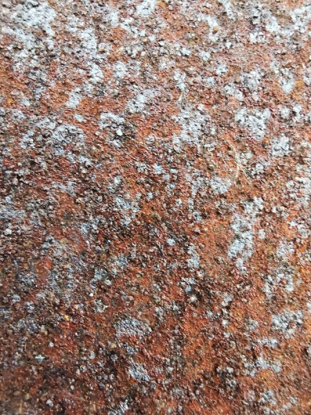 rost.jpg