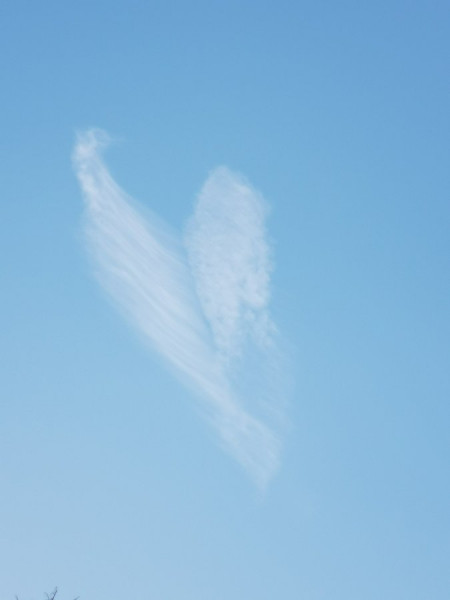 IMG_20200807_V.jpg