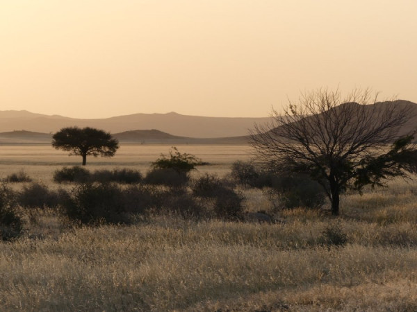 Landschaft_1.jpg