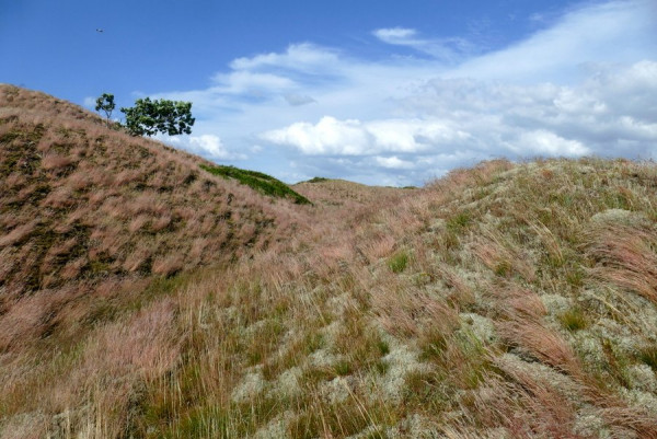 2024-07-06_FZ10107_Braunduenen.jpg