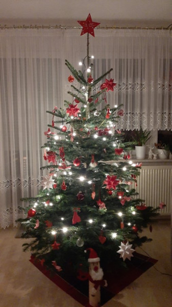 20241221_205128.jpg
