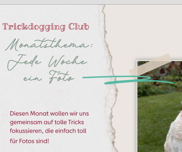 Screenshot (6).png