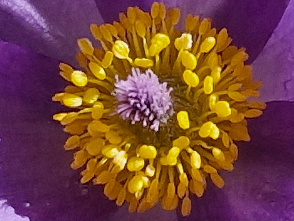 20250323_192325.jpg