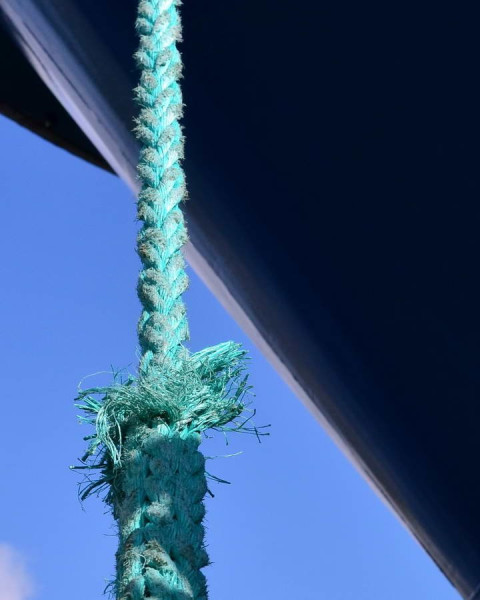 Close_up_31.JPG