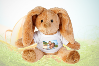 Hase.png