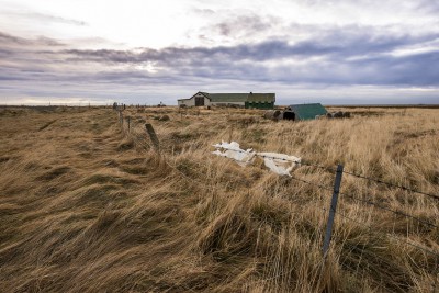 mini_DSC_6202.jpg