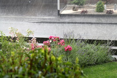 Regenschauer.jpg
