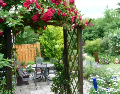 Nachbars Garten.jpg