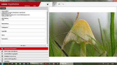 myphotos1.jpg