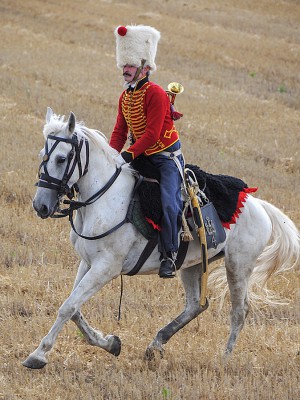 Reiter.jpg