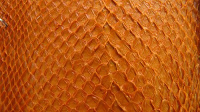 fischleder.JPG