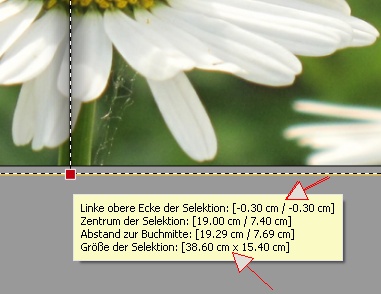 Seitengröße-compact-pan.jpg