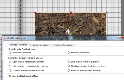 ausrichten 2.jpg