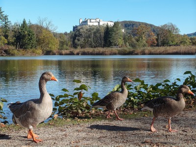 2014-Salzburg-20141019_06.jpg