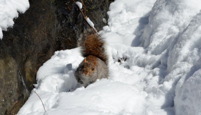 DSC_0101.JPG