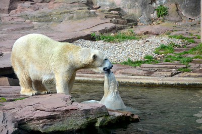 DSC_0143.JPG