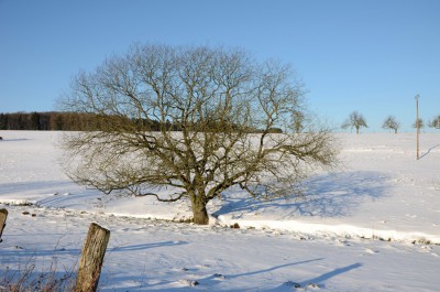 DSC_6396-900.jpg